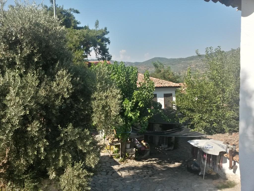 Zeytinli Konak ξενώνας Σελτσούκ Δωμάτιο φωτογραφία